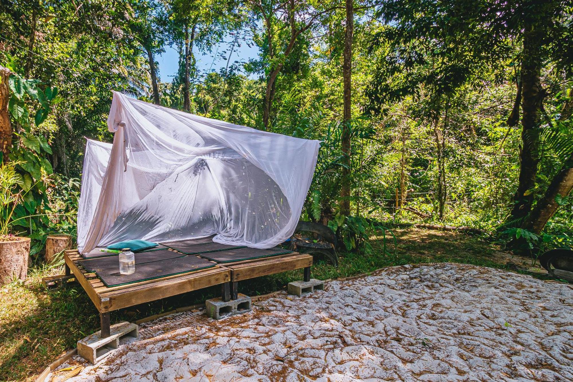 Recanto Dos Passaros Zen Apartamentos Em Meio De Natureza Praia do Forte Exterior foto
